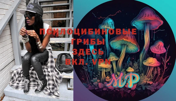 соль курить ск Верхний Тагил