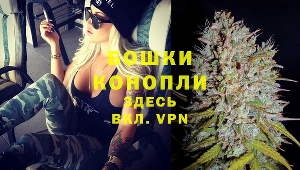 дмт Верея